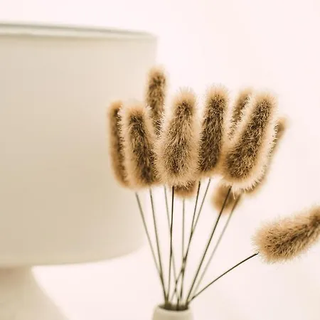 Stoffhaus 豪华帐篷 *