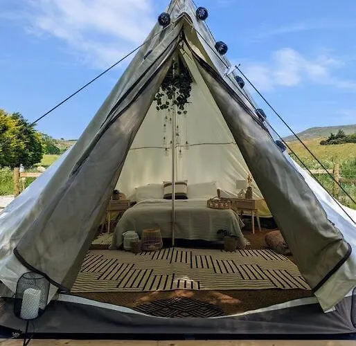 Stoffhaus Campo de lujo