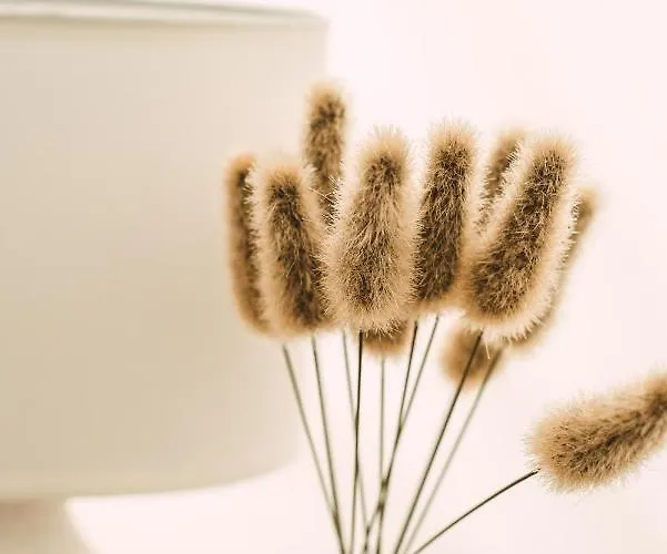 Stoffhaus Lyxtält *